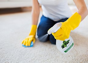 EzClean