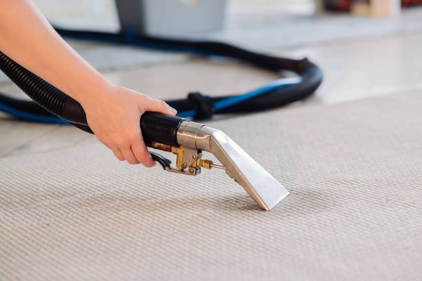 Portable Carpet Cleaning Spotter