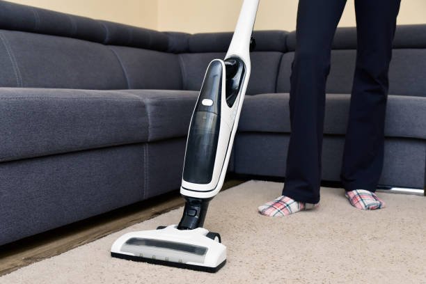 Portable Carpet Cleaner