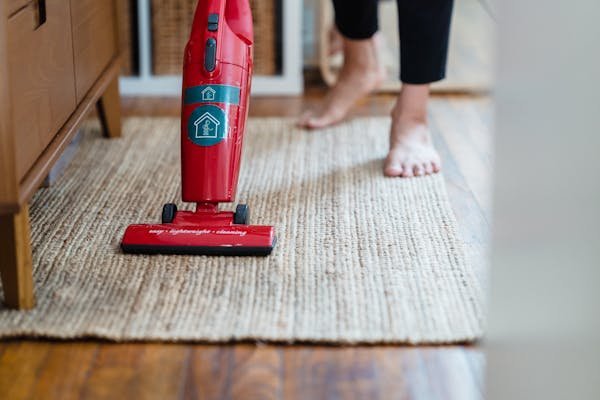 Portable Carpet Cleaner